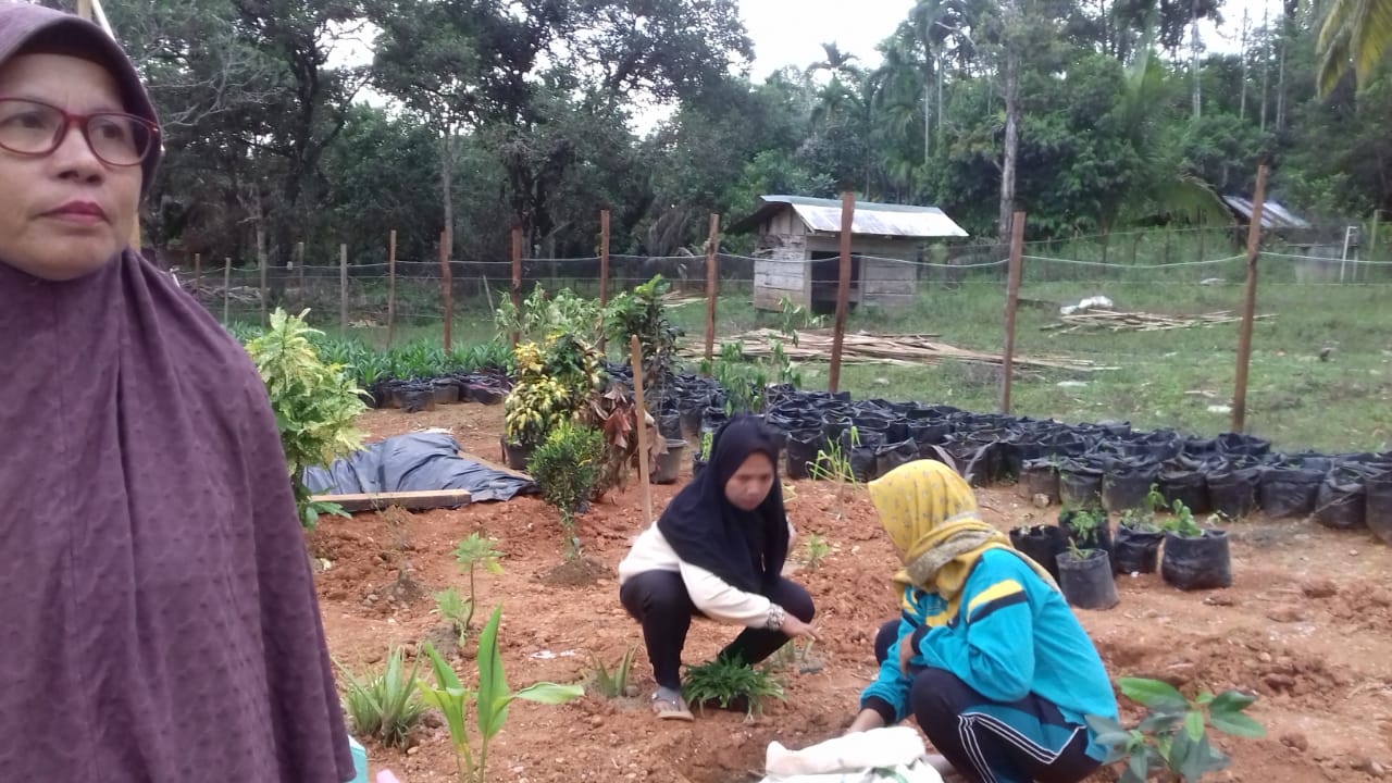 Pembinaan PKK Nagari Bukit Buai Tapan