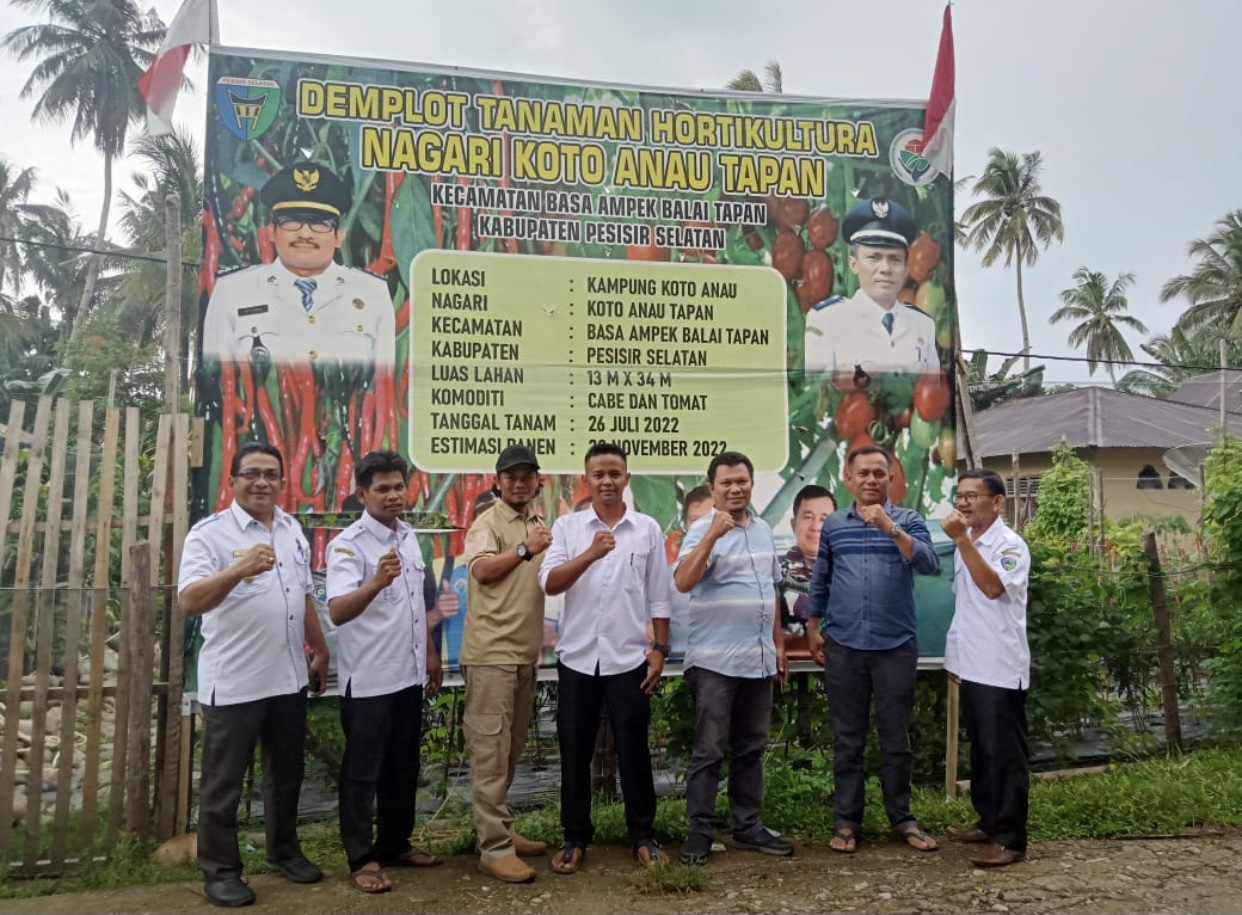 Camat Basa Ampek Balai Tapan Meninjau Program Ketahanan Pangan Nagari Koto Anau Tapan