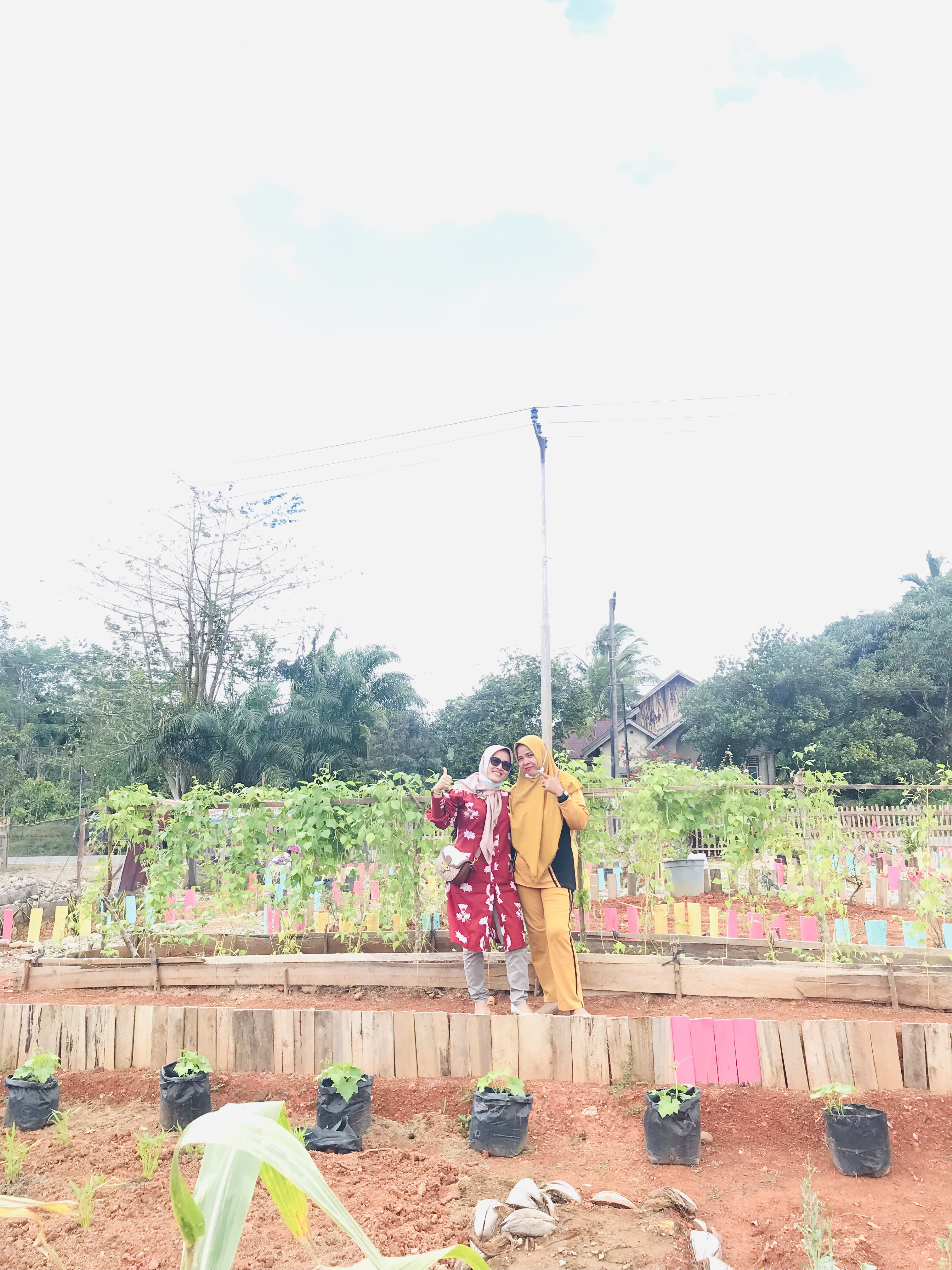 Pembinaan TP PKK Nagari Bukit Buai Tapan