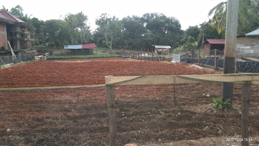 Pembinaan Taman Dasawisma Nagari Bukit Buai Tapan