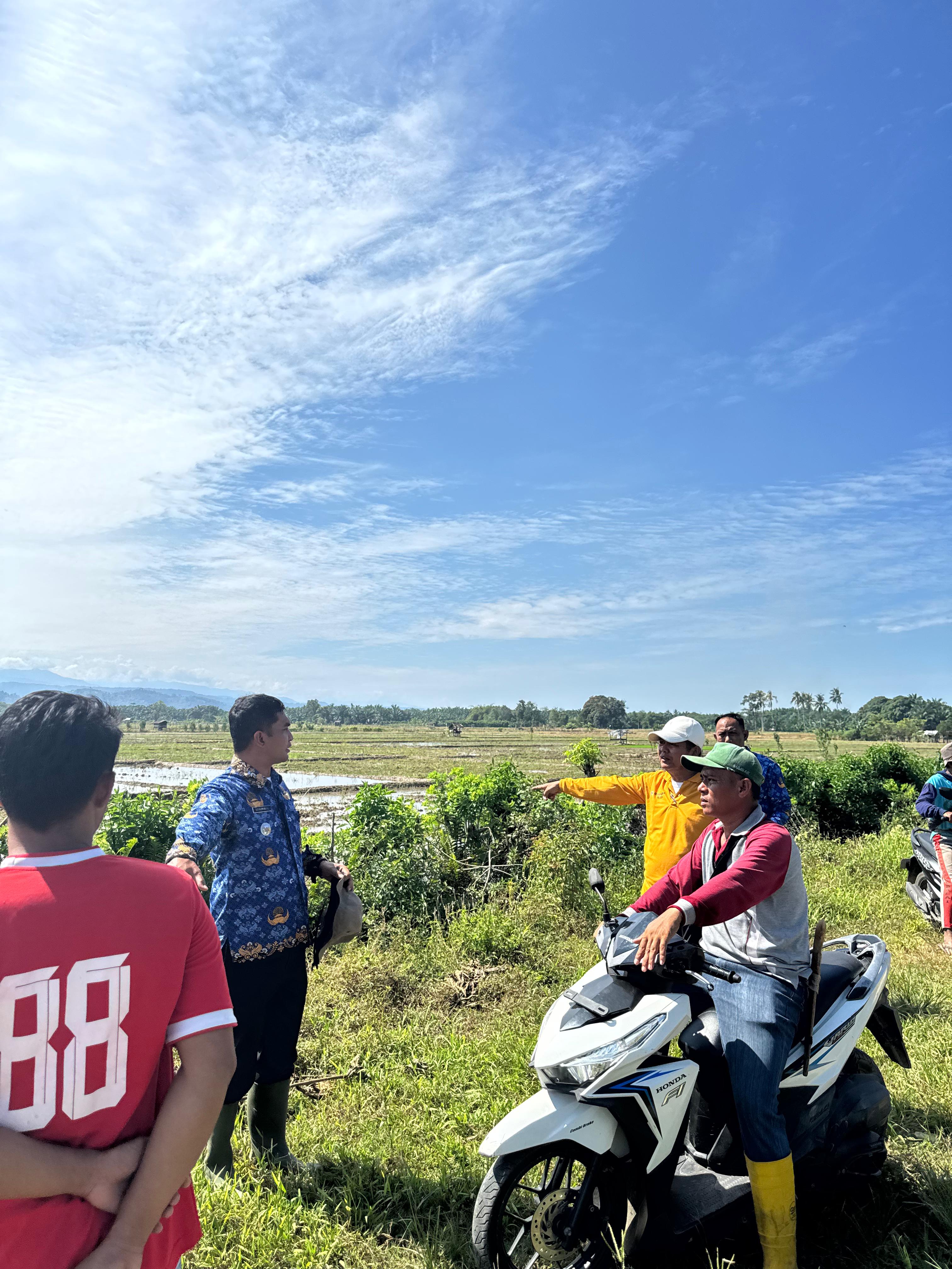 Camat Basa Ampek Balai Tapan melakukan peninjauan lokasi Persiapan Acara Tanam Padi Serentak